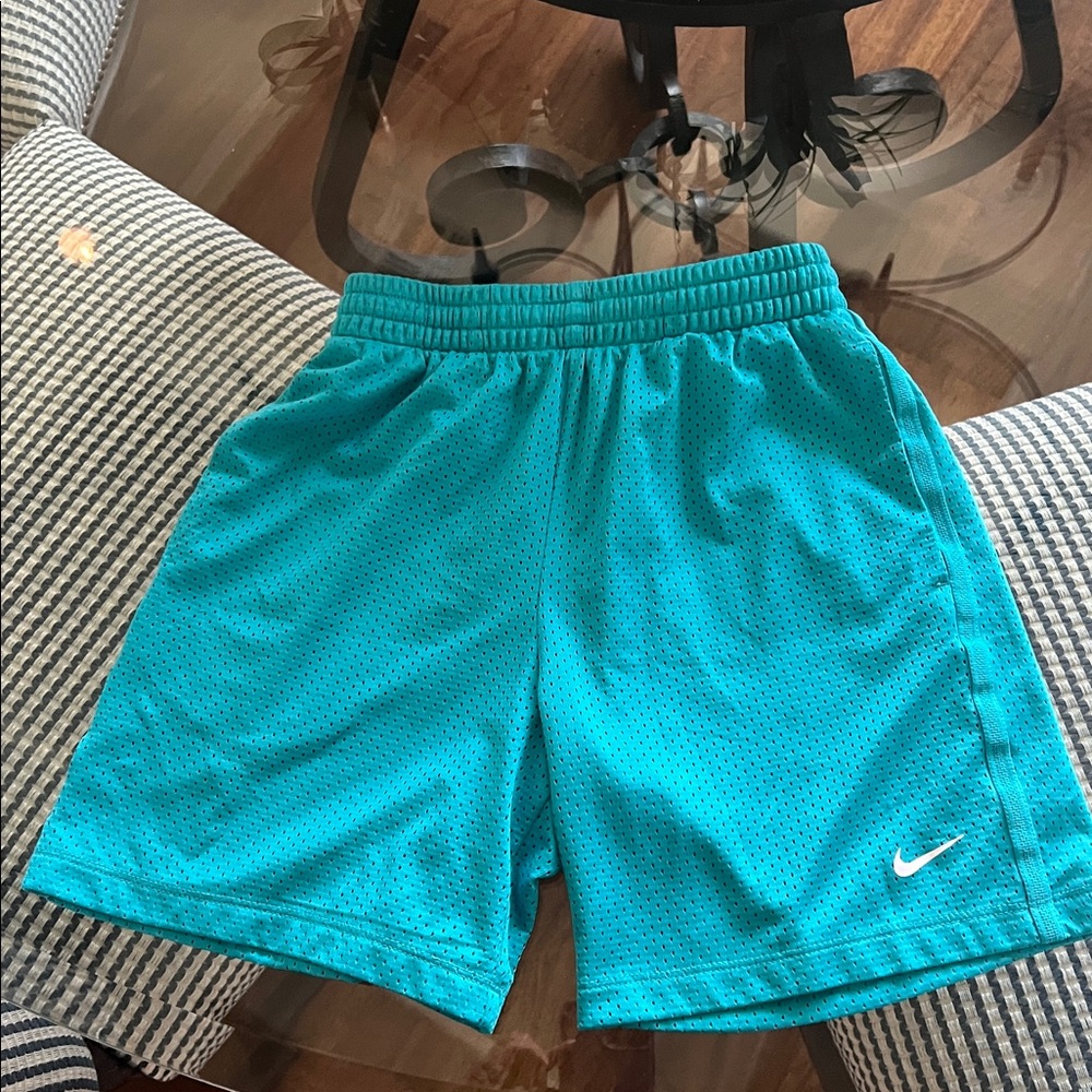 NWOT Nike Big Kids (Boys) Dri-Fit Mesh Shorts - Picture 4 of 4